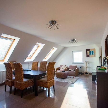 Marilyn Apartman גיינסדיאס מראה חיצוני תמונה